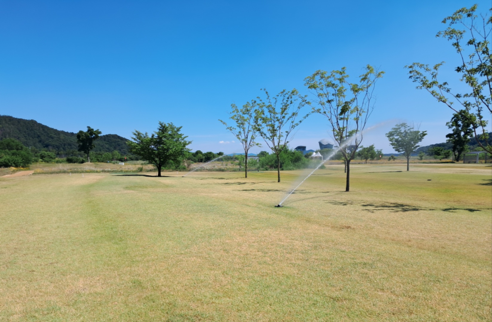 해평파크골프장 현장 사진