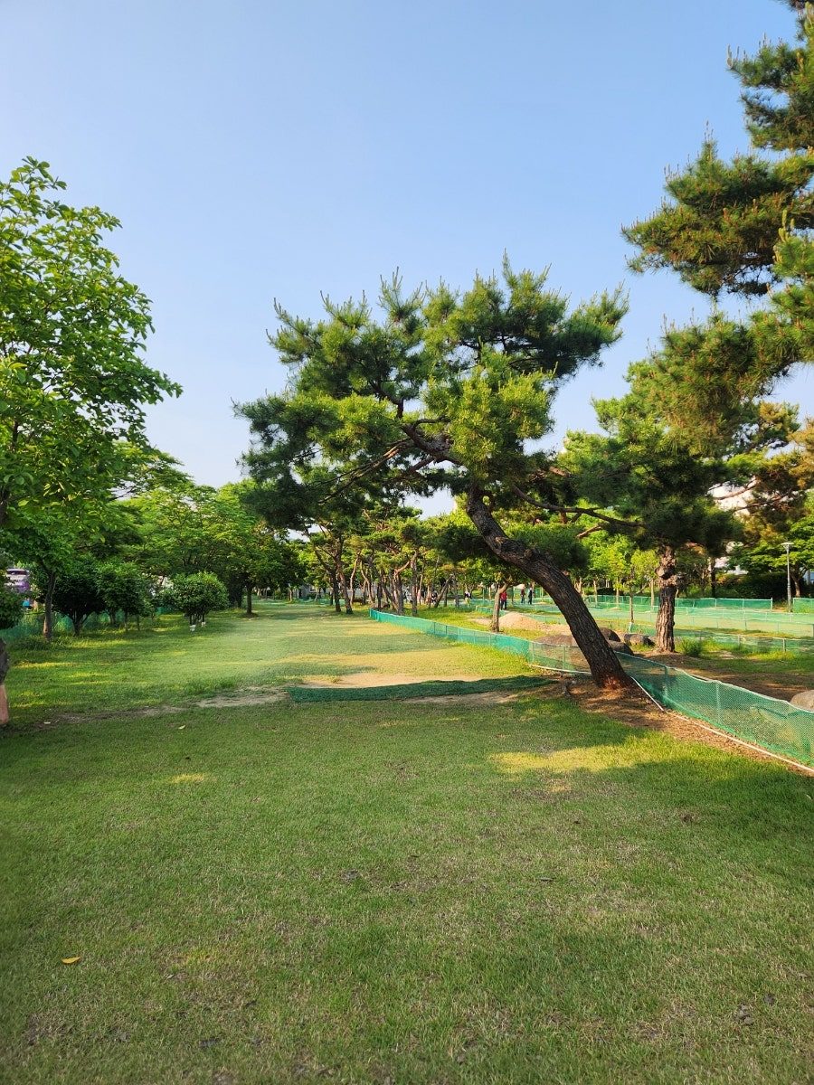 상동파크골프장 현장 사진